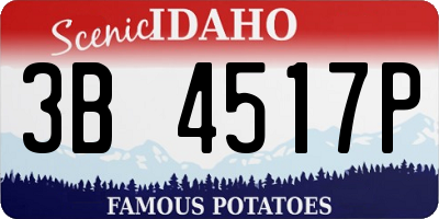 ID license plate 3B4517P