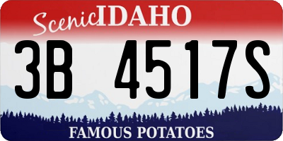 ID license plate 3B4517S