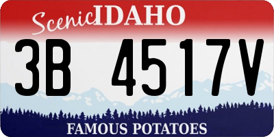 ID license plate 3B4517V