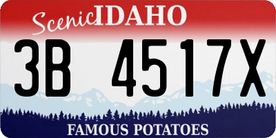 ID license plate 3B4517X