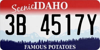 ID license plate 3B4517Y