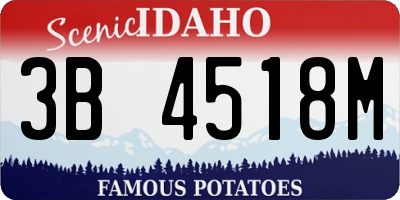 ID license plate 3B4518M