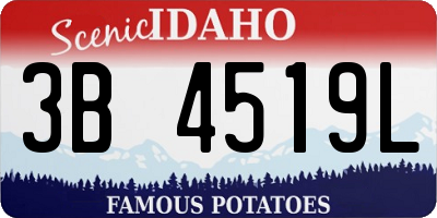 ID license plate 3B4519L