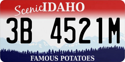 ID license plate 3B4521M
