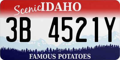 ID license plate 3B4521Y