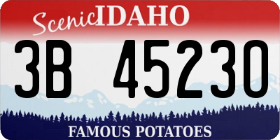 ID license plate 3B4523O