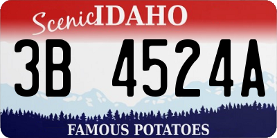 ID license plate 3B4524A