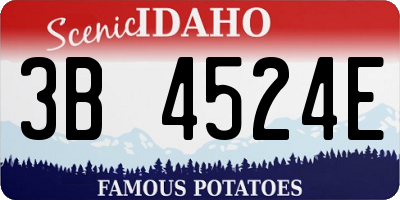 ID license plate 3B4524E