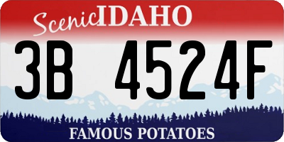 ID license plate 3B4524F