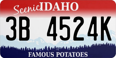 ID license plate 3B4524K