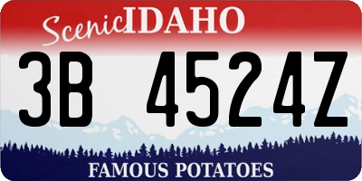 ID license plate 3B4524Z