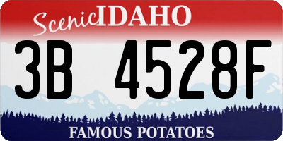 ID license plate 3B4528F