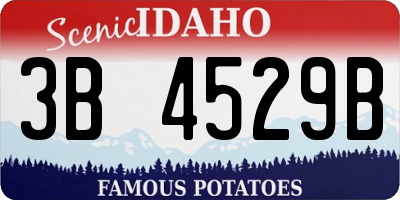 ID license plate 3B4529B