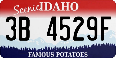 ID license plate 3B4529F