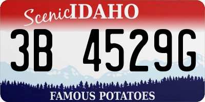 ID license plate 3B4529G