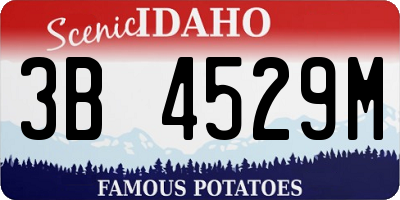 ID license plate 3B4529M