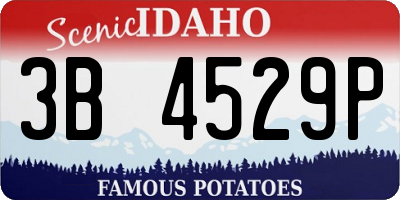 ID license plate 3B4529P