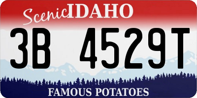 ID license plate 3B4529T