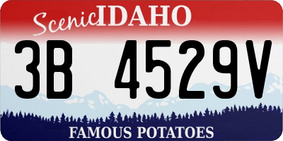 ID license plate 3B4529V