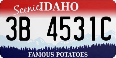 ID license plate 3B4531C
