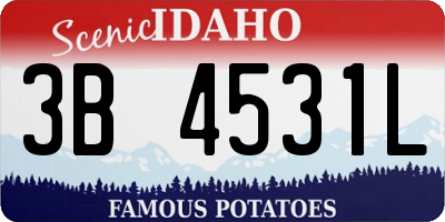 ID license plate 3B4531L