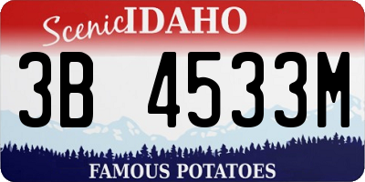 ID license plate 3B4533M
