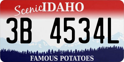 ID license plate 3B4534L