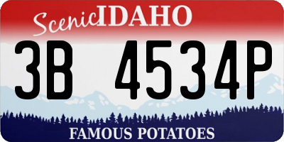 ID license plate 3B4534P