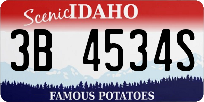 ID license plate 3B4534S