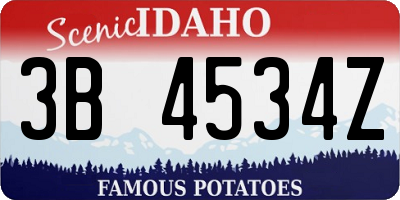 ID license plate 3B4534Z
