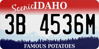 ID license plate 3B4536M
