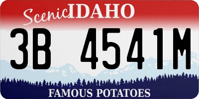 ID license plate 3B4541M