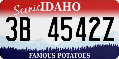 ID license plate 3B4542Z