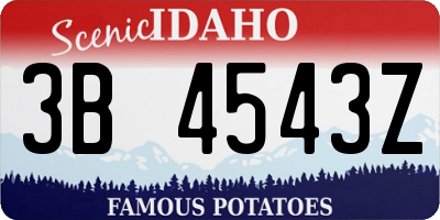 ID license plate 3B4543Z