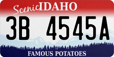 ID license plate 3B4545A
