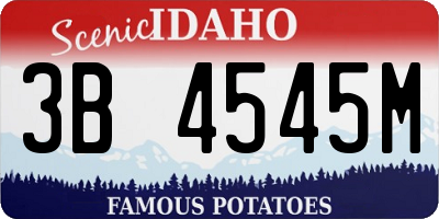 ID license plate 3B4545M