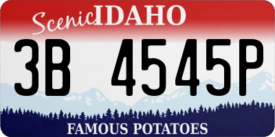ID license plate 3B4545P