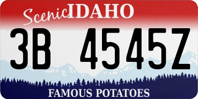 ID license plate 3B4545Z