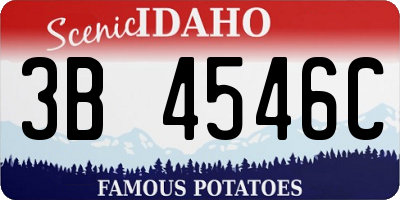 ID license plate 3B4546C