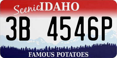ID license plate 3B4546P