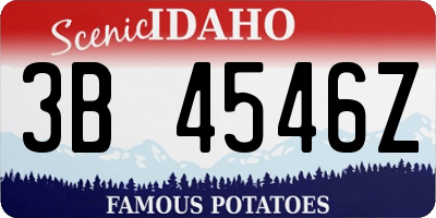 ID license plate 3B4546Z