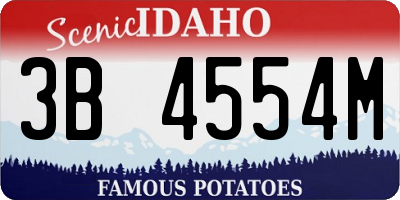 ID license plate 3B4554M