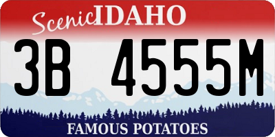 ID license plate 3B4555M