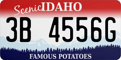 ID license plate 3B4556G