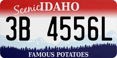 ID license plate 3B4556L
