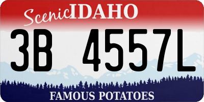ID license plate 3B4557L