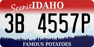 ID license plate 3B4557P