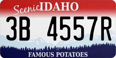 ID license plate 3B4557R