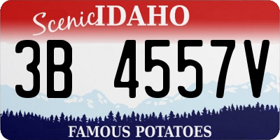 ID license plate 3B4557V