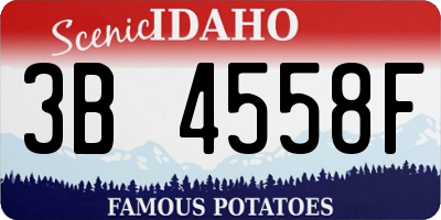 ID license plate 3B4558F